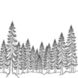 Free pine forest - forest, pine Coloring Page for Kids - Printable PDF & PNG
