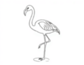 flamingo standing on one leg - flamingo, standing, one leg coloring page