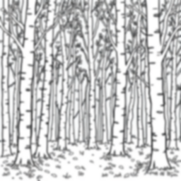 birch forest - forest, birch coloring page