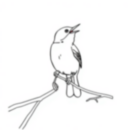 mockingbird singing - singing, mockingbird coloring page