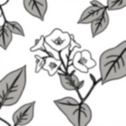 Free bougainvillea - bougainvillea Coloring Page for Kids - Printable PDF & PNG