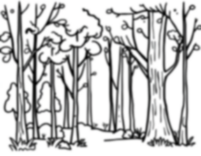 Free fantasy forest - forest, fantasy Coloring Page for Kids - Printable PDF & PNG