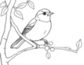 grosbeak at seed - grosbeak, seed coloring page