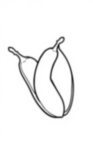 Free peas - peas Coloring Page for Kids - Printable PDF & PNG