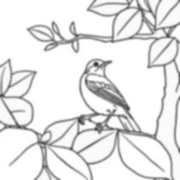 thrush in bush - thrush, bush coloring page