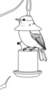 chickadee at feeder - feeder, chickadee coloring page