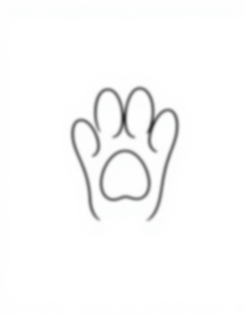 Free dog paw - dog, paw Coloring Page for Kids - Printable PDF & PNG