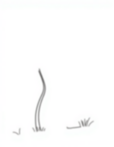 nature flowing - nature, flowing coloring page