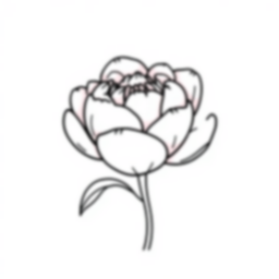 Free pink peony - pink, peony Coloring Page for Kids - Printable PDF & PNG