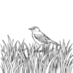 longspur in grass - grass, longspur coloring page