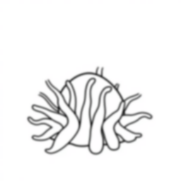 Free sea anemone - sea, anemone Coloring Page for Kids - Printable PDF & PNG