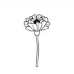 Free carnation - carnation Coloring Page for Kids - Printable PDF & PNG