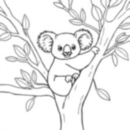 koala in eucalyptus - koala, eucalyptus coloring page