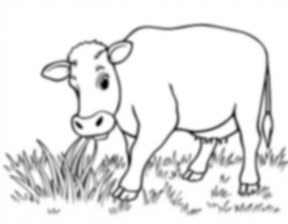 cow eating grass - eating, cow, grass coloring page