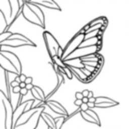 butterfly - butterfly coloring page