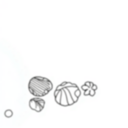 Free beach with shells - beach, shells Coloring Page for Kids - Printable PDF & PNG