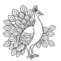 peacock showing feathers - peacock, feathers coloring page