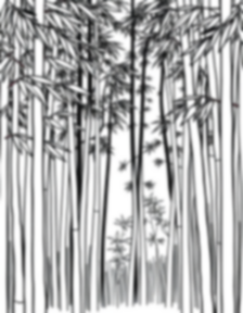 bamboo forest - forest, bamboo coloring page