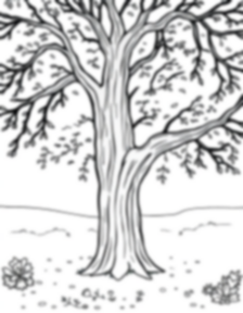 Free oak forest - forest, oak Coloring Page for Kids - Printable PDF & PNG
