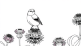goldfinch on thistle - goldfinch, thistle coloring page