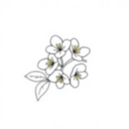 Free honeysuckle - honeysuckle Coloring Page for Kids - Printable PDF & PNG