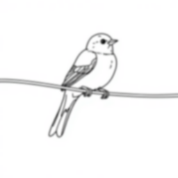 sparrow on wire - sparrow, wire coloring page