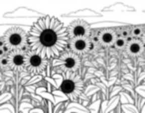 Free field of sunflowers - field, sunflowers Coloring Page for Kids - Printable PDF & PNG