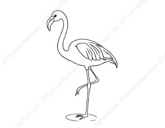 flamingo standing on one leg - flamingo, standing, one leg coloring page