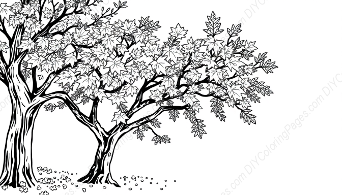 Free Printable maple tree autumn - autumn, maple tree Coloring Page for Kids and Adults - High Quality PDF & PNG Download