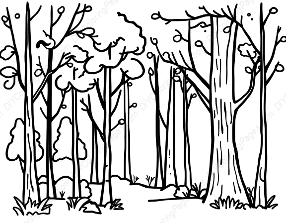 Free Printable fantasy forest - forest, fantasy Coloring Page for Kids and Adults - High Quality PDF & PNG Download