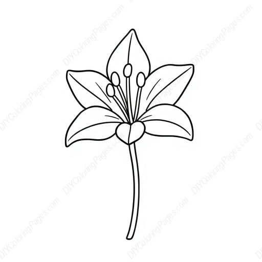Free Printable tiger lily - tiger lily Coloring Page for Kids and Adults - High Quality PDF & PNG Download
