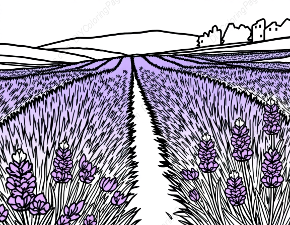 Free Printable lavender field - field, lavender Coloring Page for Kids and Adults - High Quality PDF & PNG Download