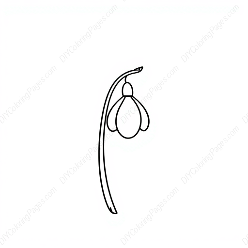 Free Printable snowdrop - snowdrop Coloring Page for Kids and Adults - High Quality PDF & PNG Download