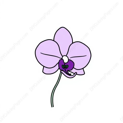 Free Printable purple orchid - purple, orchid Coloring Page for Kids and Adults - High Quality PDF & PNG Download
