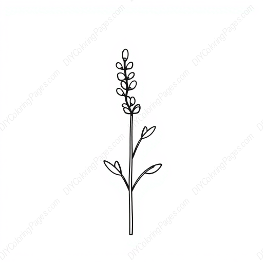 Free Printable lavender sprig - lavender, sprig Coloring Page for Kids and Adults - High Quality PDF & PNG Download