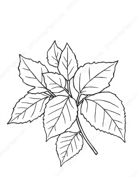 Free Printable autumn leaves - leaves, autumn Coloring Page for Kids and Adults - High Quality PDF & PNG Download