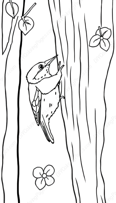 nuthatch climbing - climbing, nuthatch coloring page