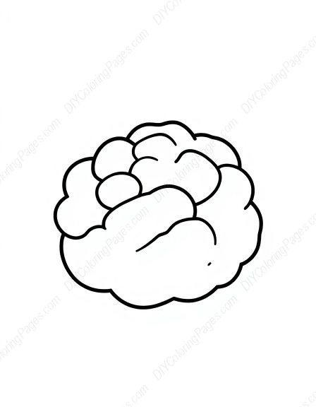 Free Printable cauliflower - cauliflower Coloring Page for Kids and Adults - High Quality PDF & PNG Download