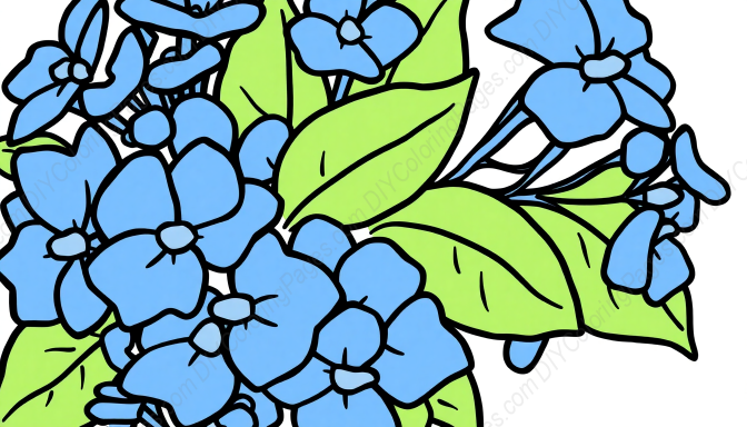 Free Printable blue hydrangea - blue, hydrangea Coloring Page for Kids and Adults - High Quality PDF & PNG Download