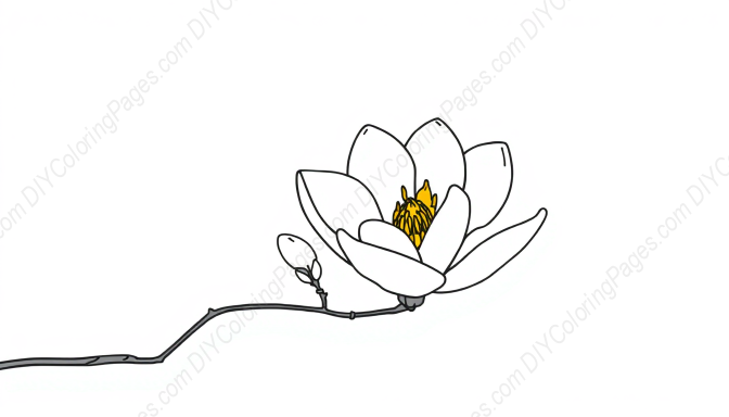 Free Printable magnolia blooming - blooming, magnolia Coloring Page for Kids and Adults - High Quality PDF & PNG Download